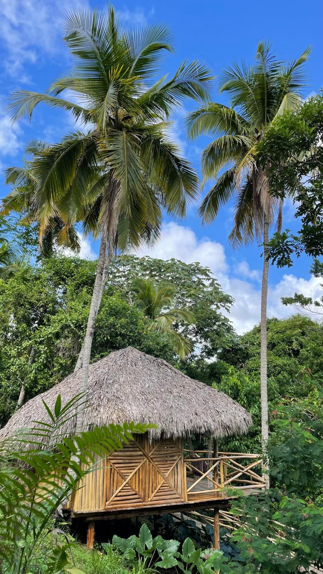 Rancho Romana Ecolodge Park V-01 El Limon Bagian luar foto