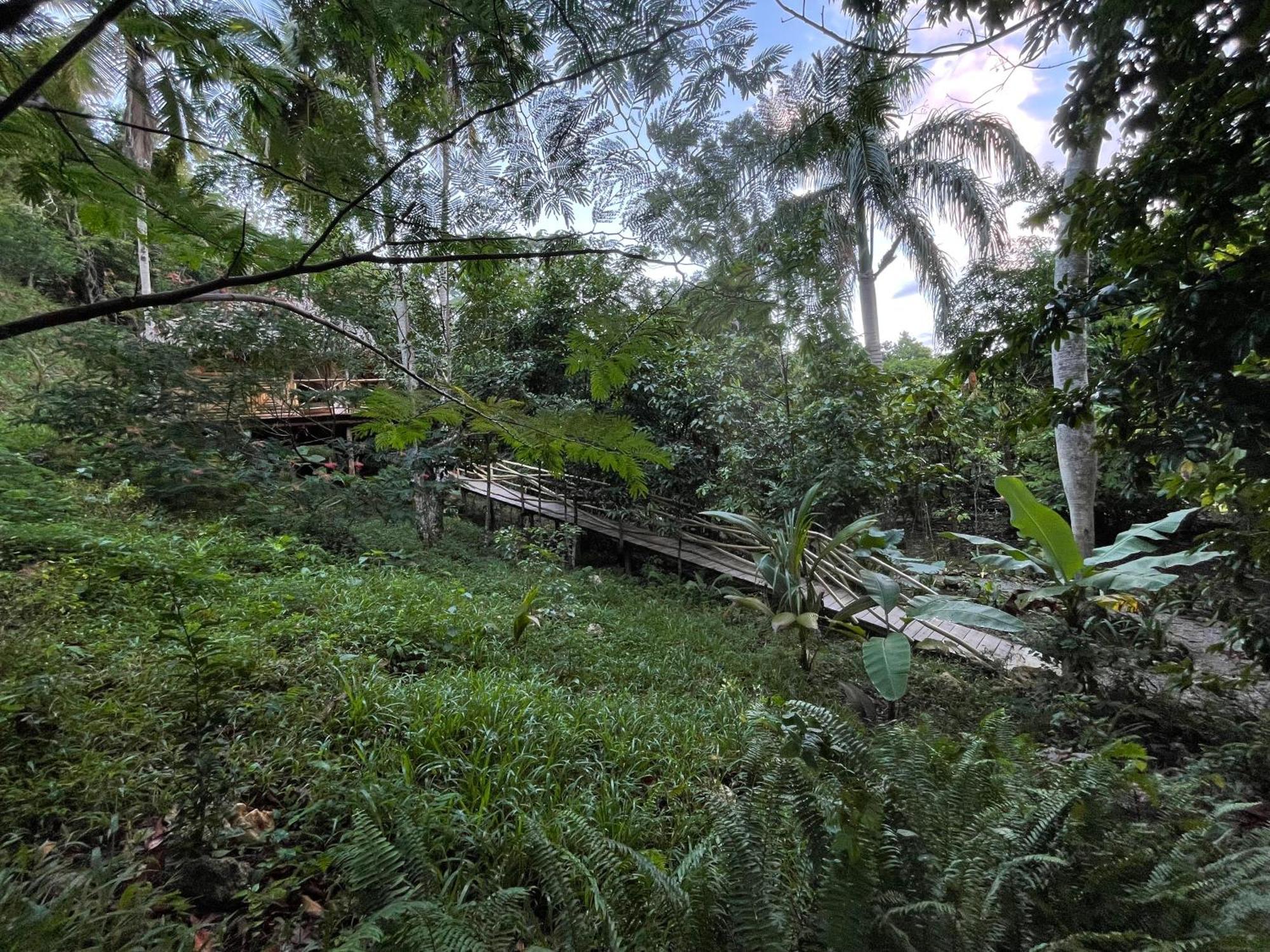 Rancho Romana Ecolodge Park V-01 El Limon Bagian luar foto